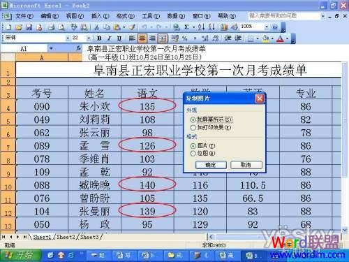 Excel中为指定数据源标记出重要的项